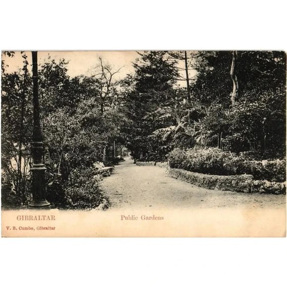 Gibraltar Public Gardens Postcard - Picture 1 of 2